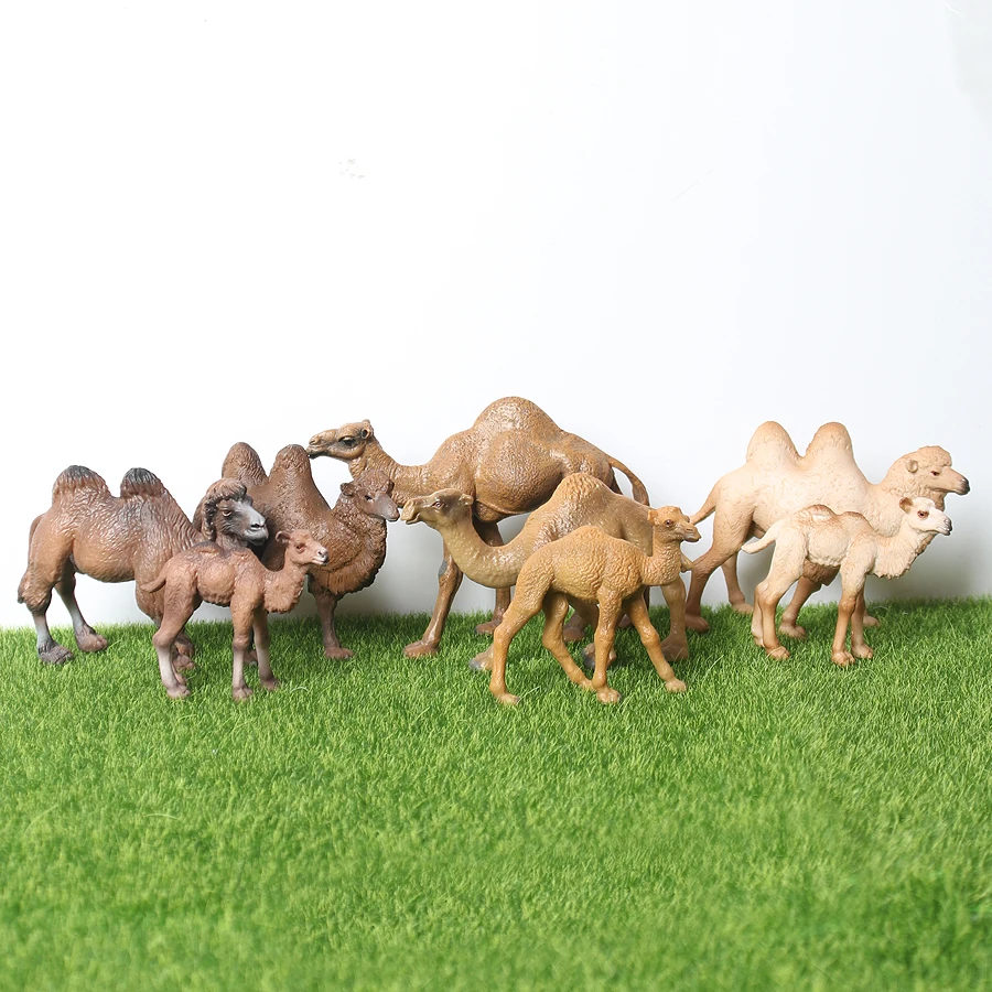 

Realistic Hand-Painted Wildlife Bactrian Camel,single-humped camel Toy Figurine Model Zoo Animals Family Set Educational Toys