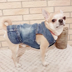 Dog Denim Jacket for Small Medium Dogs Spring Autumn Dog Clothes Classic Jeans Lapel Vest Chihuahua Yorkie Bulldog Pet Apparel