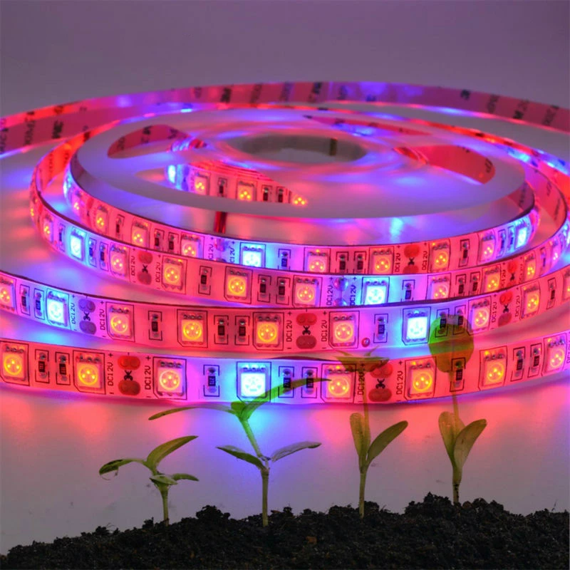 

LED Grow Strip Light for Plant Growing Hydroponic Lights Non-Waterproof Grow Lamp Seedlings Greenhouse DC 12V 5050