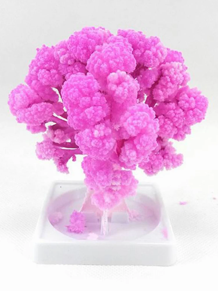 2020 10PCS 10x8cm Artificial Magically Grow Paper Sakura Trees Magic Growing Tree Japan Desktop Cherry Blossom Toys For Children