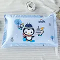 K-1 Piece Pillow