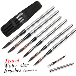 Dainayw Travel Watercolor Paint Brushes Squirrel Hair Detail Line Brush for Watercolor Inking Gouache Acrylic Painting 6 Pcs