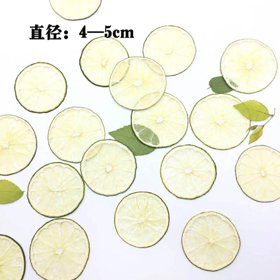 5pcs Dried Pressed 4-5cm Green Lemon Slices Plant Herbarium For Jewelry Photo Frame Phone Case Bookmark Postcard Making DIY