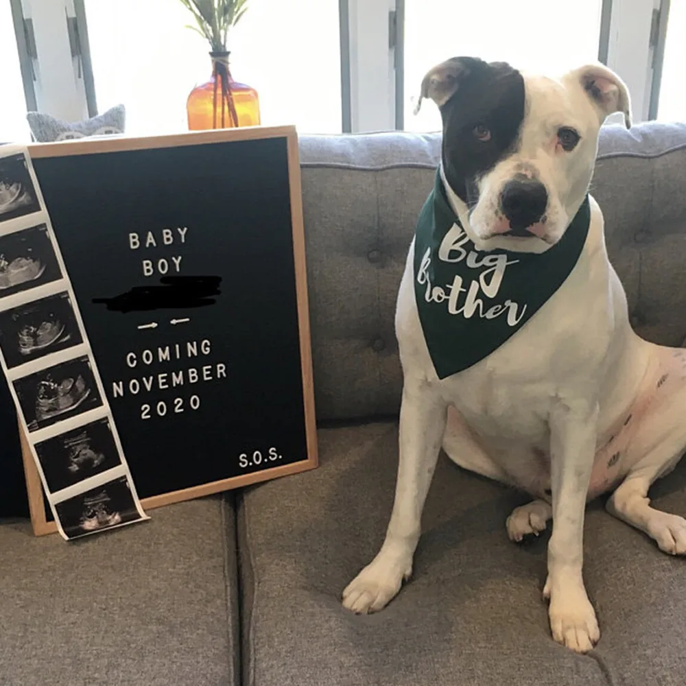 Custom Big brother Dog pregnancy announcement dog bandana baby pregnancy announcement to husband grandparents family solid color