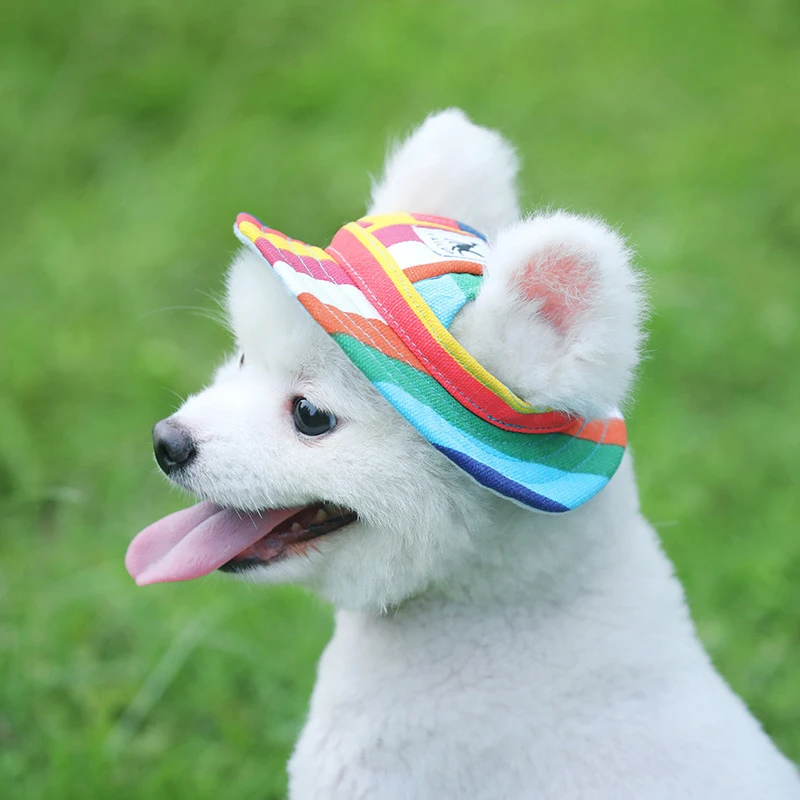 Gorro transpirable para perros y gatos, sombrero de lona de malla, productos para mascotas