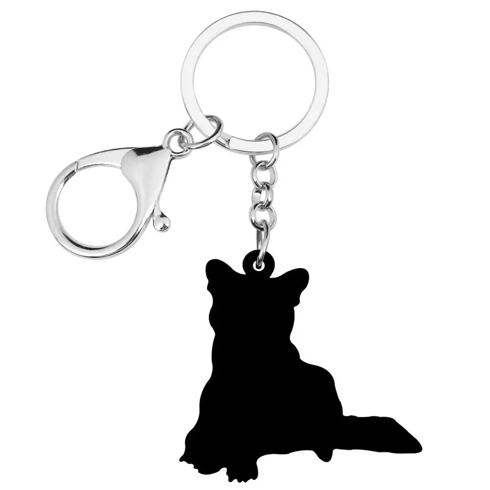 Bonsny Acrylic Gray Raccoon Keychains Printing Animal Key Ring Jewelry For Women Kids Friends Trendy Gift CarDecoration Charms