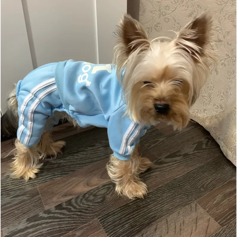 Survêtement perforé pour petits chiens, sweat-shirt de sport, sweats à capuche Chihuahua, combinaison pour petits chiens, vêtements pour chiens,