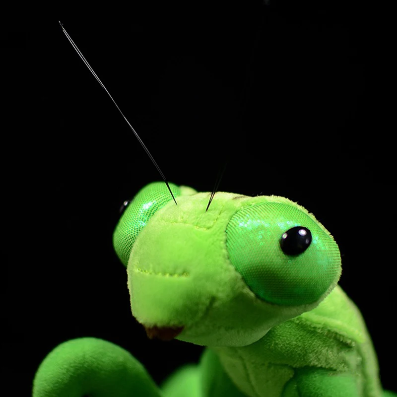 Lifelike chinês Louva-a-deus brinquedos de pelúcia para crianças, vida real, inseto Mantis, bichos de pelúcia, brinquedos educativos macios