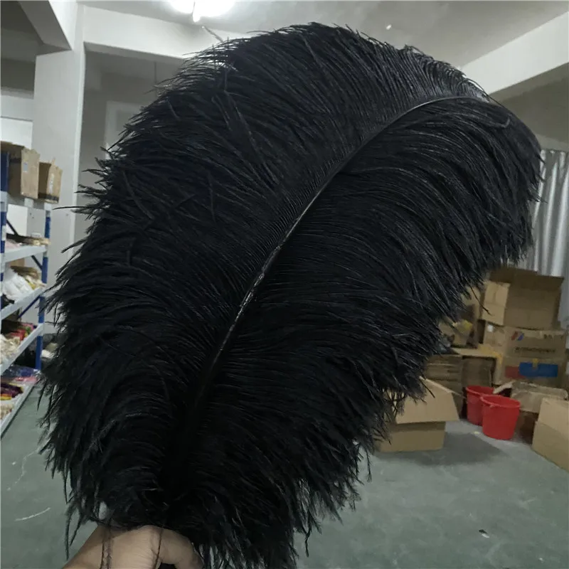 

Hot Sale 50pcs/lot Grace Black Ostrich Feather 26-28inches/65-70cm Accessories Diy Party Dancers Jewelry Feathers for Crafts