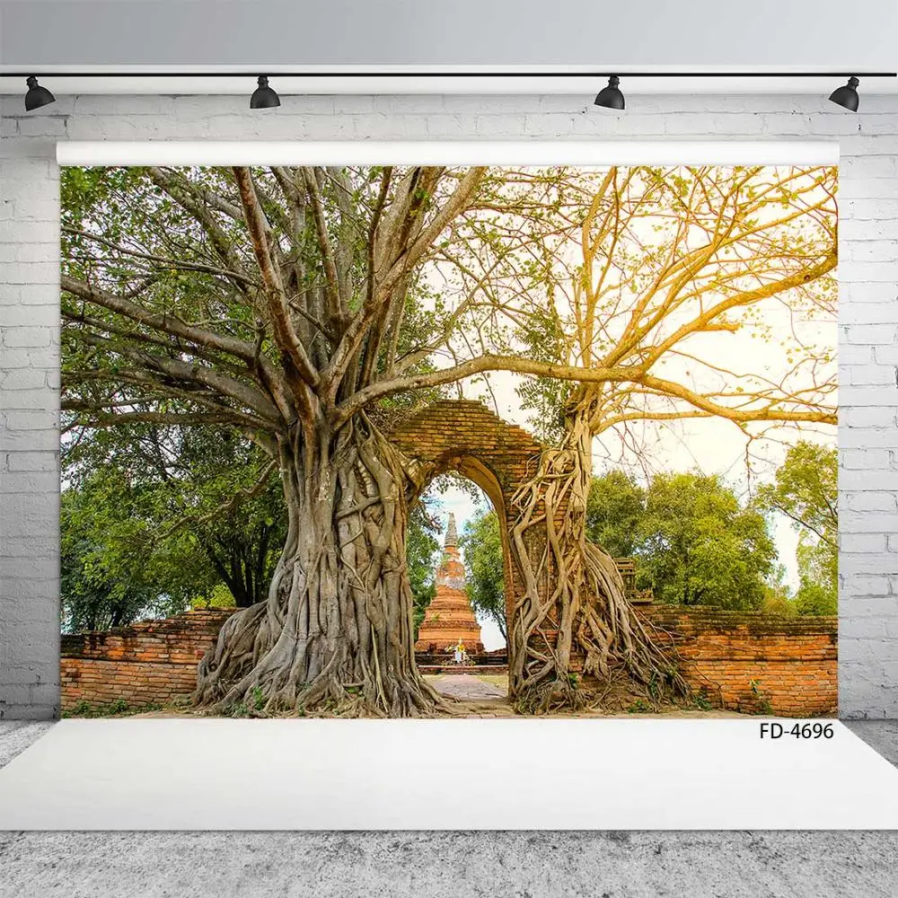 

Old Tree Branches Brick Wall Photographic Backdrop Vinyl Cloth Background for Baby Children Portrait Pet Photophone Photo Studio