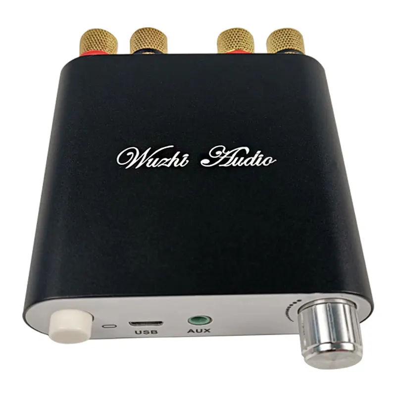 TPA3116D2 100Wx2 بلوتوث 5.0 لاسلكية ستيريو قوة الصوت مكبر للصوت مجلس سيارة أمبير Amplificador المسرح المنزلي ZK-1002D