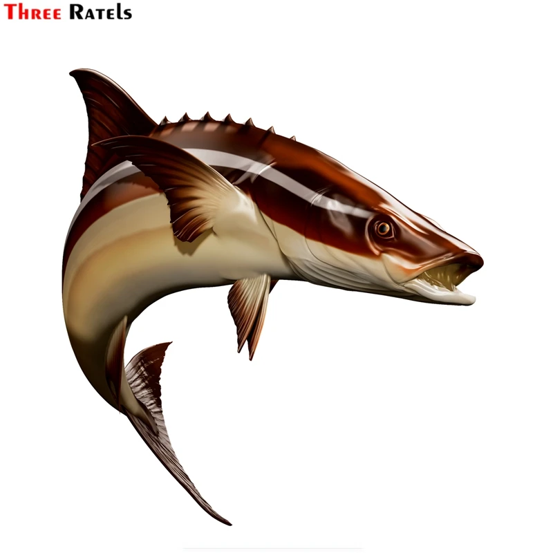 

Three Ratels FTC-916 Cobia Fish Fishing Car Stickers Auto Decals 3d Styling Motorcycle Decal Accessories