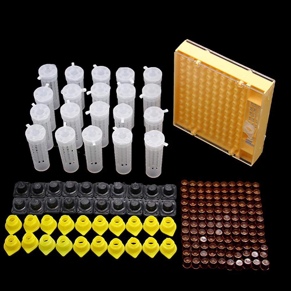 

1SET Queen Bee Rearing System Kit Plastic Cell Cage Protection Cover Base Box Cup Queens Beekeeping Bees Apiculture Supplies