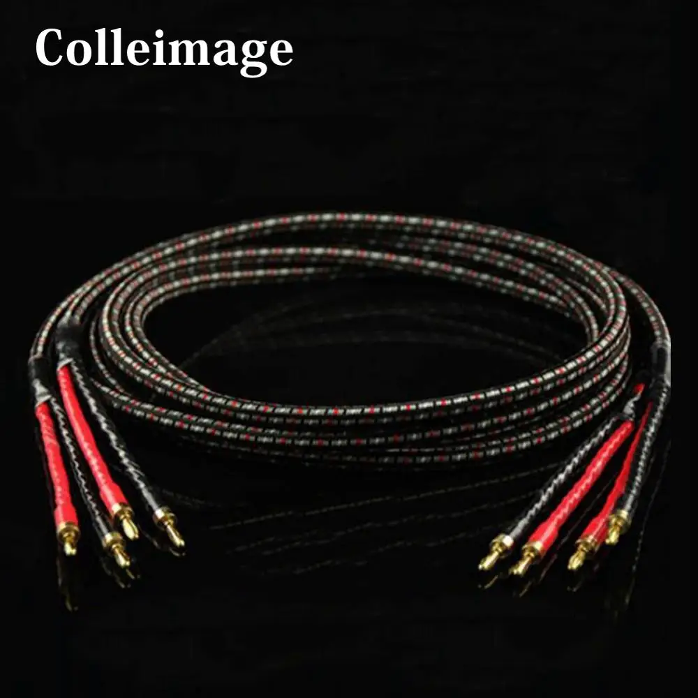 

Colleimage Hi-End AQ CV8 6N OCC Speaker Cable Hifi Amplifier CD Speaker Cable With Silver/Gold-Plated Banana Jack