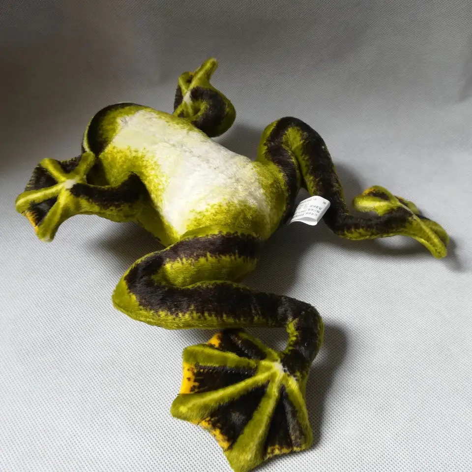 約 30x20cm 緑のカエルのぬいぐるみリアルなカエルの柔らかい人形赤ちゃんのおもちゃ誕生日ギフト w1577