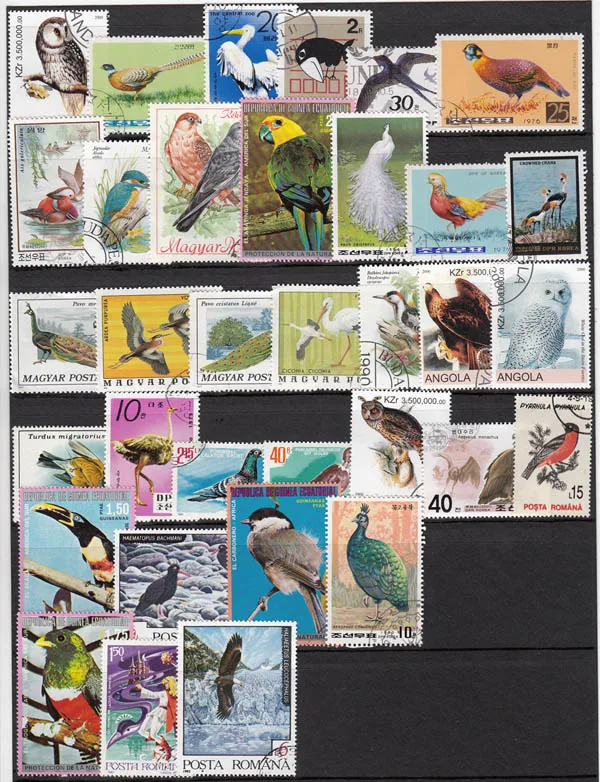 New 50Pcs/Lot Bird All Different From Many Countries NO Repeat  Postage Stamps for Collecting