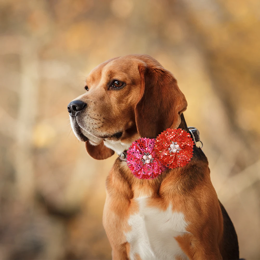 Imagem -04 - Coleira de Flor 50 Peças Suprimentos para Cães Gravata Borboleta Deslizante Coleira de Cachorro Pequeno Acessórios de Casamento para Cães Moda Fofa Suprimentos para Animais de Estimação