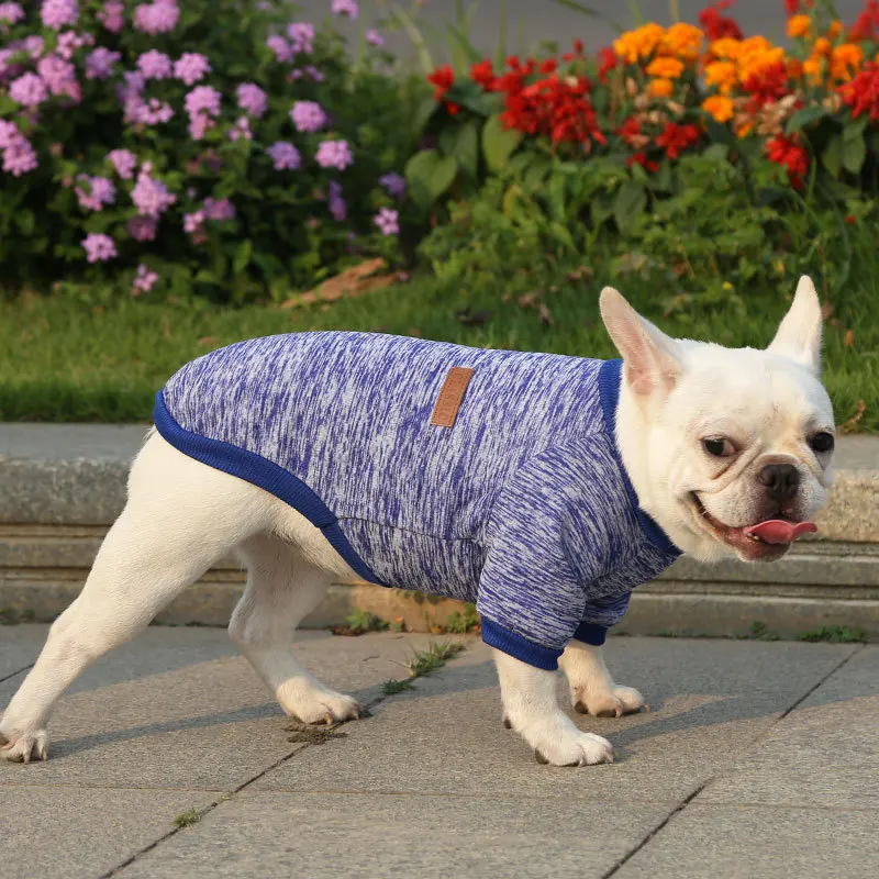 Winter Dog Clothes for Small Medium Dogs Sweater Hoodies Warm Clothing for Chihuahua French Bulldog York Dog Costume Sweatshirt