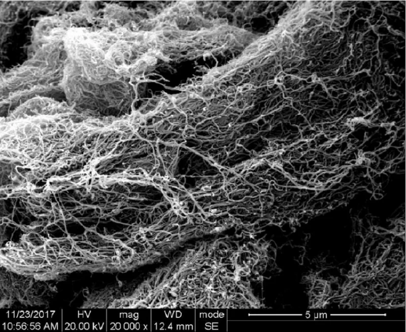 

High purity multi-walled carbon nanotubes