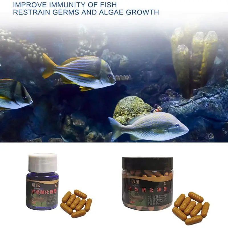 2021 New Aquarium Nitrifying Bacteria Super Concentrated Capsule Fish Tank Pond Cleaning Water Purifier Supply