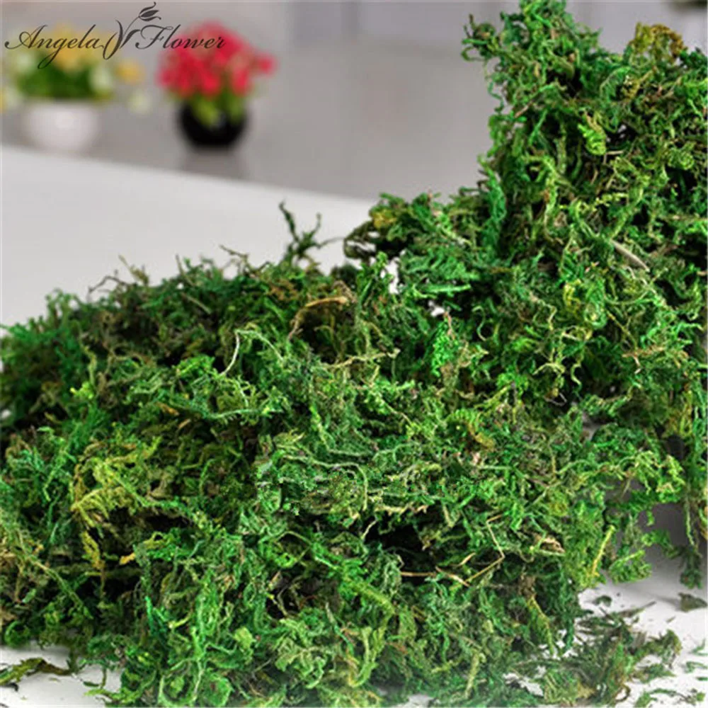 100g/bag Keep dry real green moss decorative plants vase artificial turf silk Flower accessories for flowerpot decoration