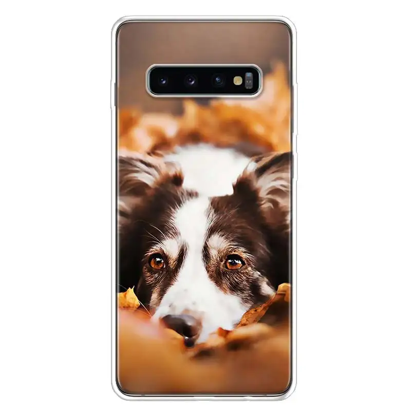 Border Collie Clever Dog For Samsung Galaxy S24 S23 S21 S22 Ultra S10 Plus S20 FE Phone Case S10E S8 S9 + Housing Shell Coque