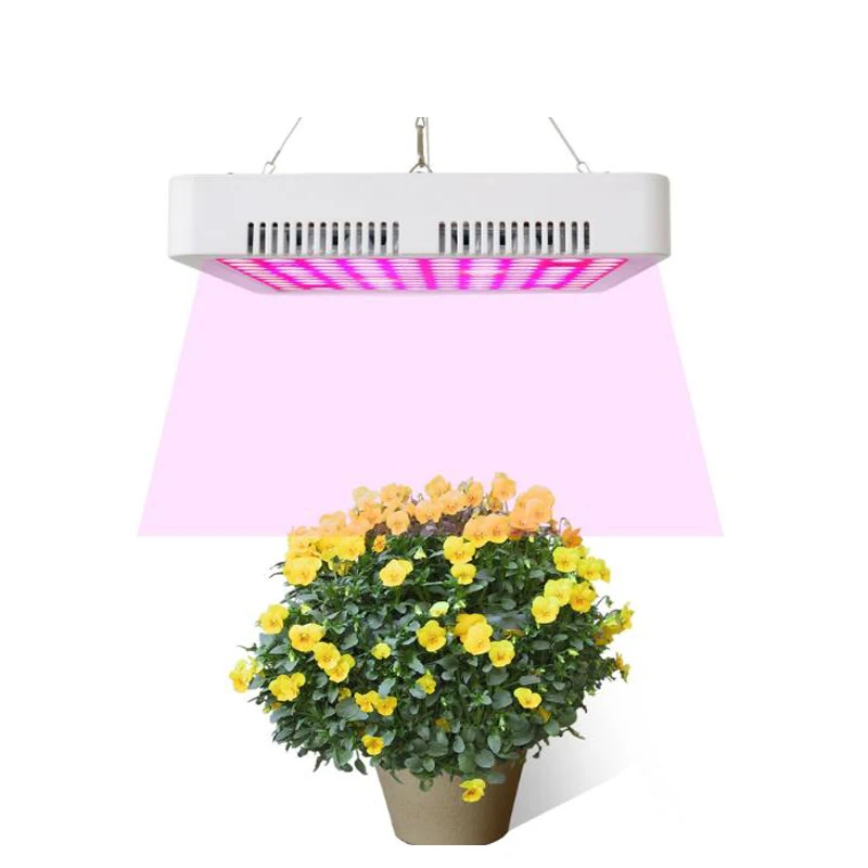 300W LED 성장 빛 전체 스펙트럼 식물 성장 램프 실내 야채 묘목 꽃 모종 텐트 Fitolampy, 피토 식물 성장 램프