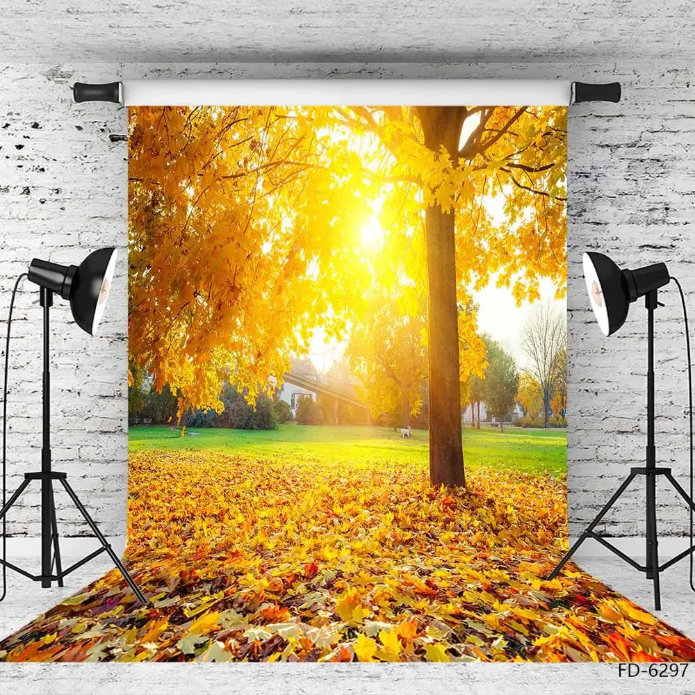 خلفية تصوير فوتوغرافي على شكل أوراق شجر صفراء متساقطة، خلفية مخصصة لالتقاط الصور الفوتوغرافية للأطفال الصغار