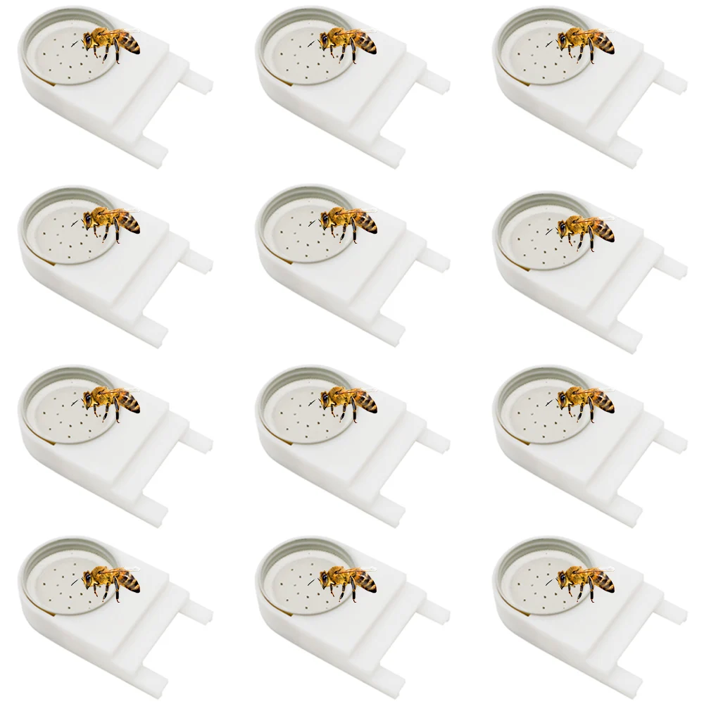 

12 Pcs Bee Drinker Beehive Entrance Water Feeder Beekeeping Tools Cap Water Drink Feeding Beekeeper Equipment