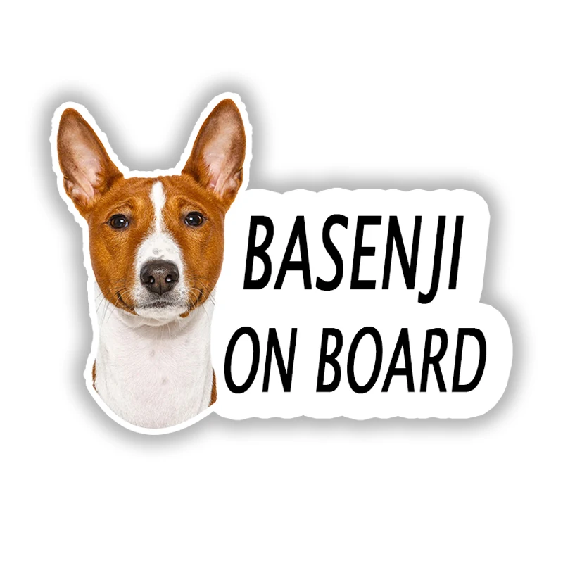 

Самоклеящаяся наклейка для бассейна Ji Dog On Board V1, автомобильная наклейка, водонепроницаемые Автомобильные украшения, автомобильный Стайлинг, автомобильные аксессуары, наклейка для авто