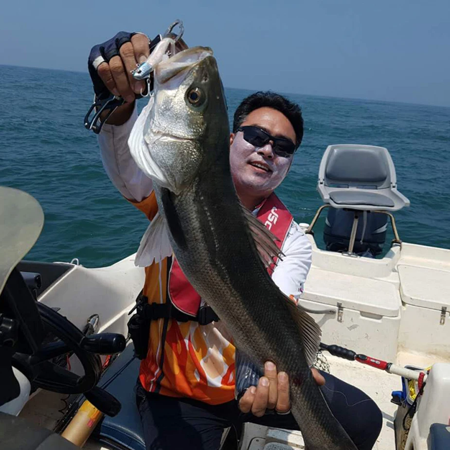 TOMA Black Minnow Jig Head 14g 21g 27g 35g 50g Fishing Lure Inter-change-able Soft Body VIB Bass Soft Bait Fishing Tackle