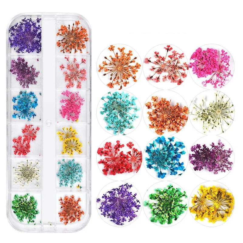 Mix 15 Patterns 3D Dry Flowers Stickers Real Dried Flower Nail Art Decoration Tips DIY Art Designs Polish Manicure Tools