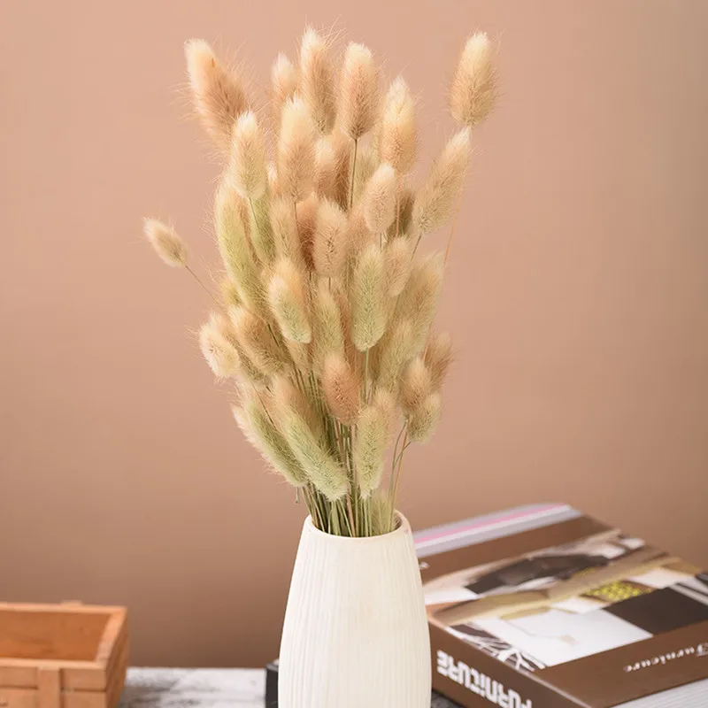 

30pcs Natural Dried Flowers Rabbit BunnyTail Grass Bunch Real Flower Bouquet for Home Wedding Decoration