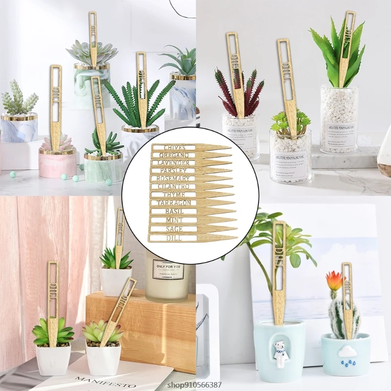 12 Chiếc Vật Có Nhãn Rỗng Chữ Vườn Đánh Dấu Các Thẻ Dấu Gỗ Chữ Gậy Thảo Dược Cho Cây Trồng Trong Chậu Hoa Rau Bán Sỉ