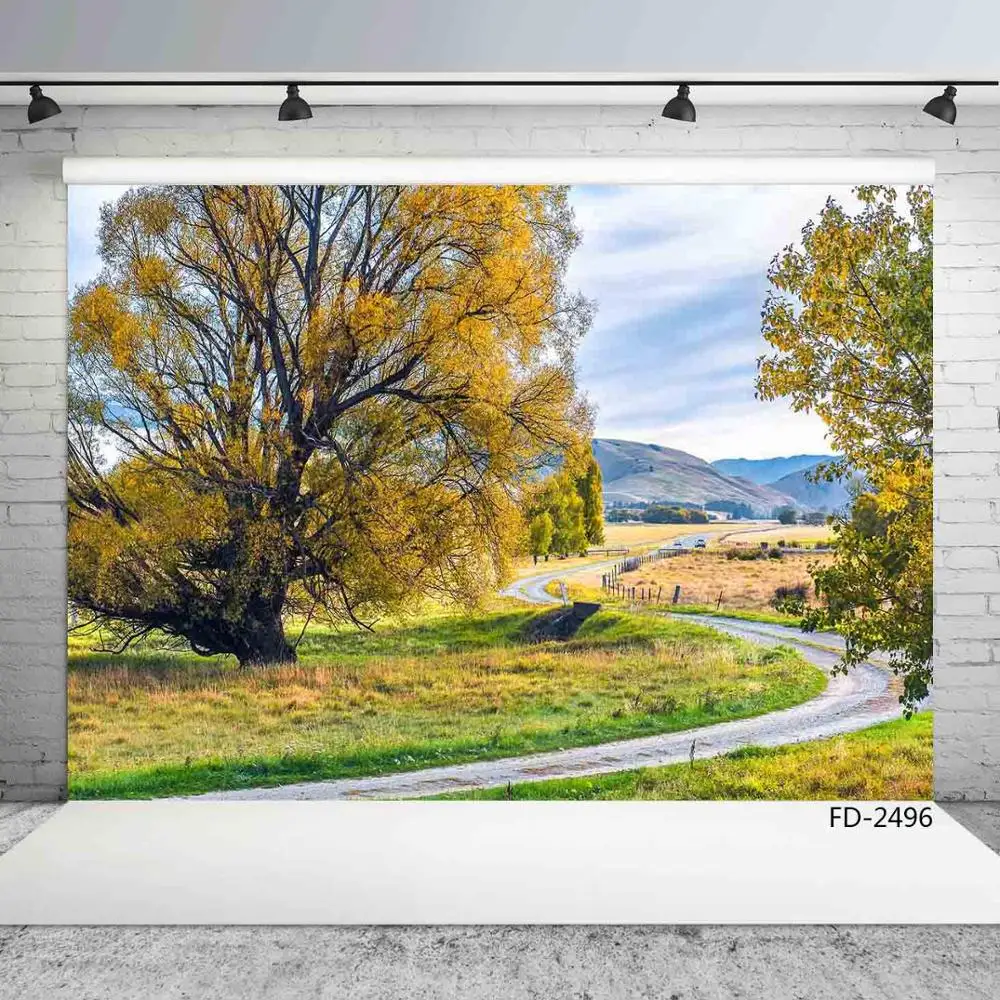 Fundo fotográfico para estúdio de fotografia, para outono, árvore, grama, campo de estrada, retrato para crianças recém-nascidas