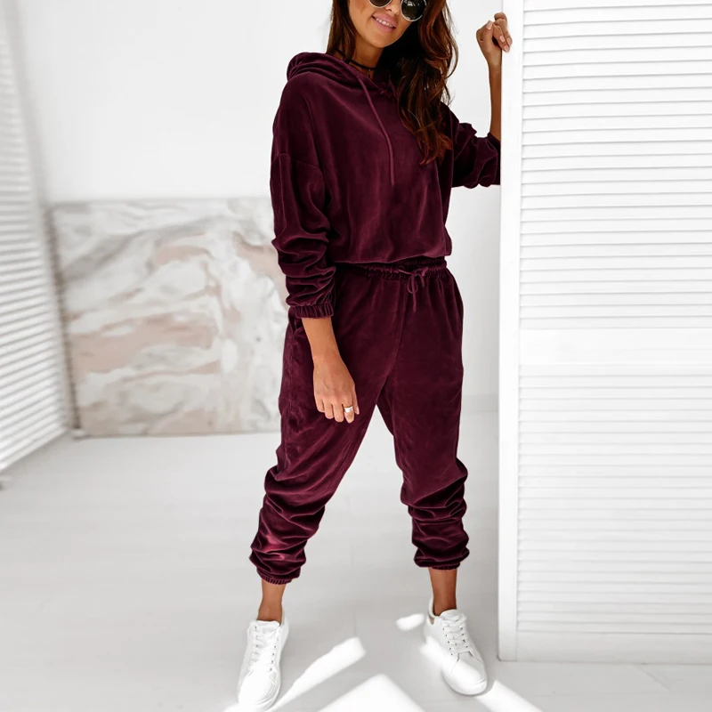 Autumn Winter Velour Tracksuit Women Velvet Set Woman Tracksuit Sets Winter Velvet Suit Two Piece Set Solid Color Hooded Suit