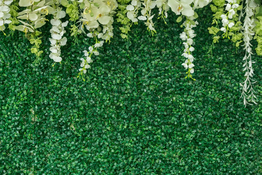 Beipoto decoração de chá de panela, flor branca, folha verde, foto, cenários, floral, festa de casamento, fotografia, planos de fundo