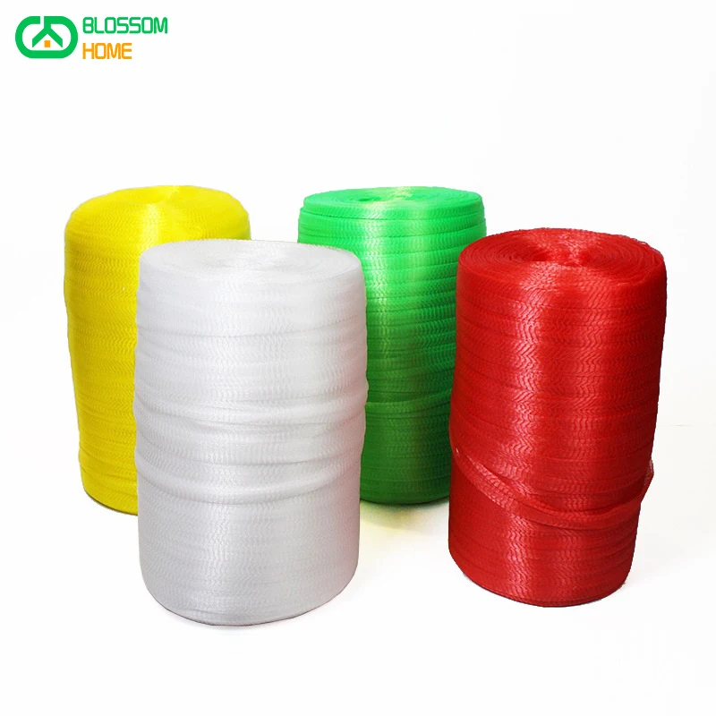 Factory Wholesale Egg Mesh Bag Walnut Chestnut Mesh Bag Fruit Woven Nylon Plastic White Green BlueMesh Rope Plant Mesh Sleeve