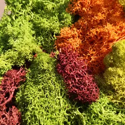 30g Artificial Lichen Moss Cluster Bushes Model Green Plants for Scale Building Material Miniature Landscape Model Diy Dioramas