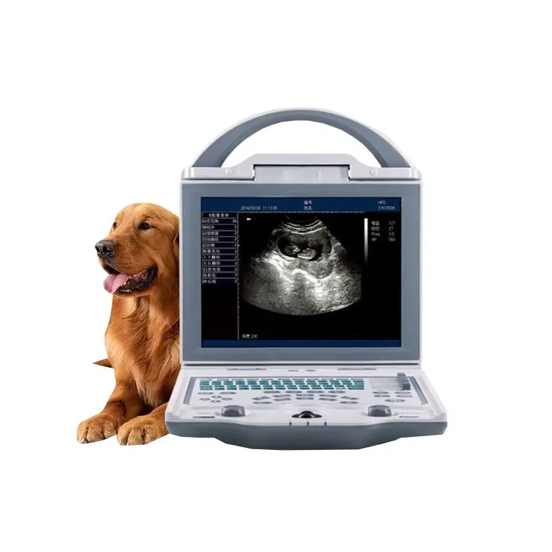 

Dog Cat Pregnancy Testing Machine LED Screen Laptop Veterinary Ultrasound Scanner Disease Scanner Professional level