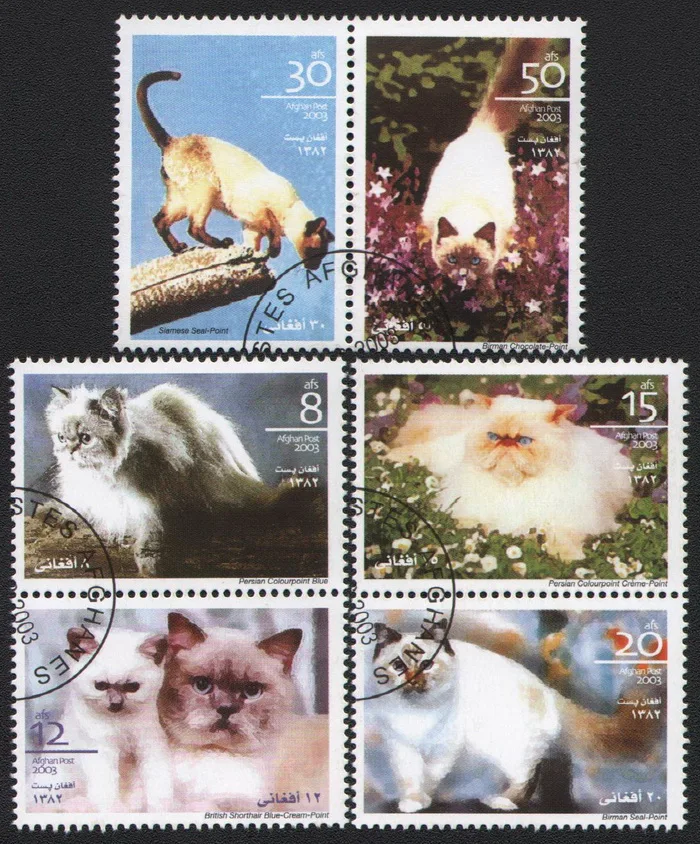 6Pcs/Set Afh Post Stamps 2003 Pet Cats  Marked Postage Stamps for Collecting