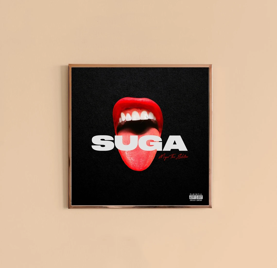 Megan Thee Suga Music Album Cover Poster Canvas Print Singer Music Star Poster Home Wall Painting Decoration