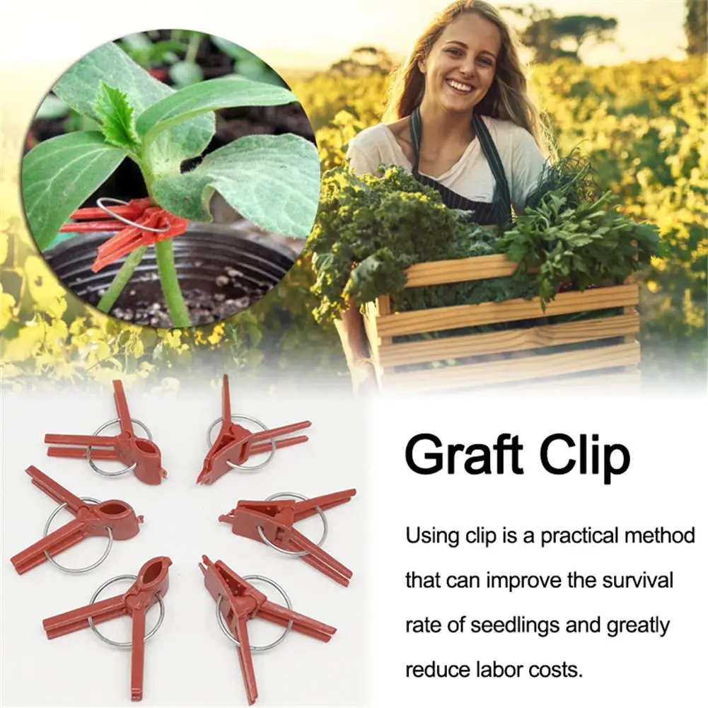 50PCS Plants Graft Clips Plastic Fixing Fastening Garden Tools For Cucumber Eggplant Watermelon Flat Mouth/round Mouth Clip