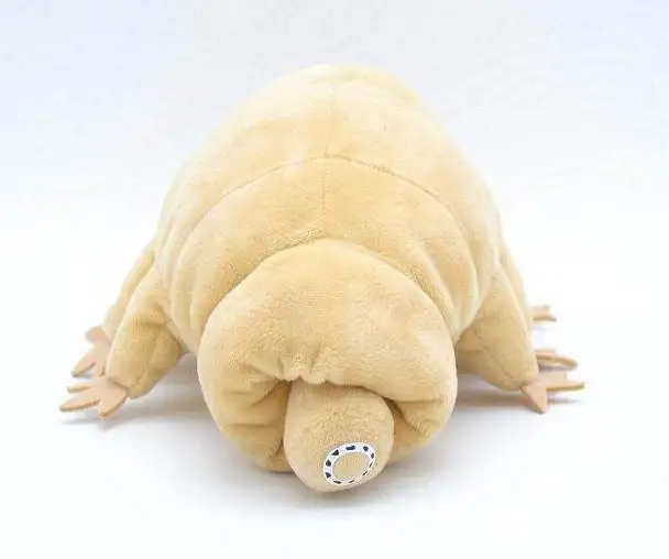 Water Bear Plush Toy Original Soft Tardigrade Educational Gift 18.5cm