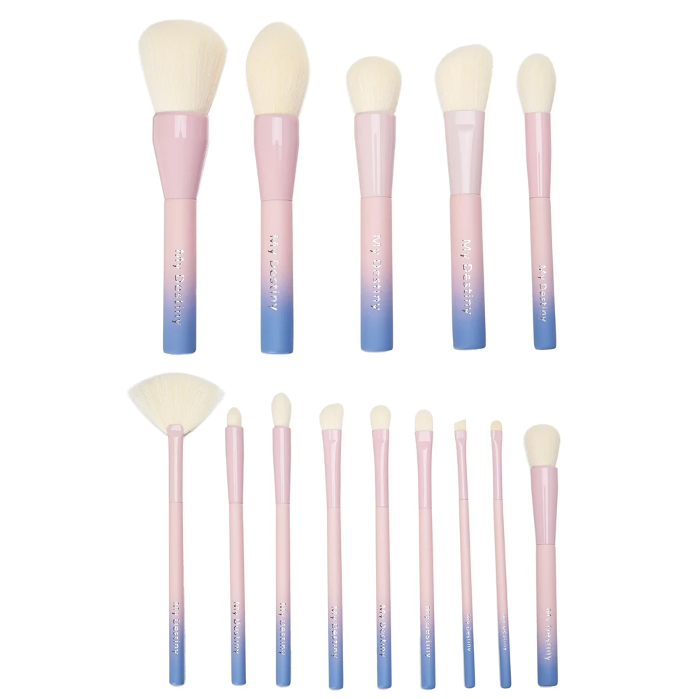 

Gradient Color Professional Makeup Brushes Set Pro 14pcs Cosmetic Brush Kit with Leather Bag Pink