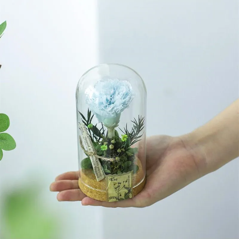 7*12cm Cork Base Cylinder Shape Glass Cover Home Decoration Transparent Dome DIY Friend Favor Gift Wedding Prop