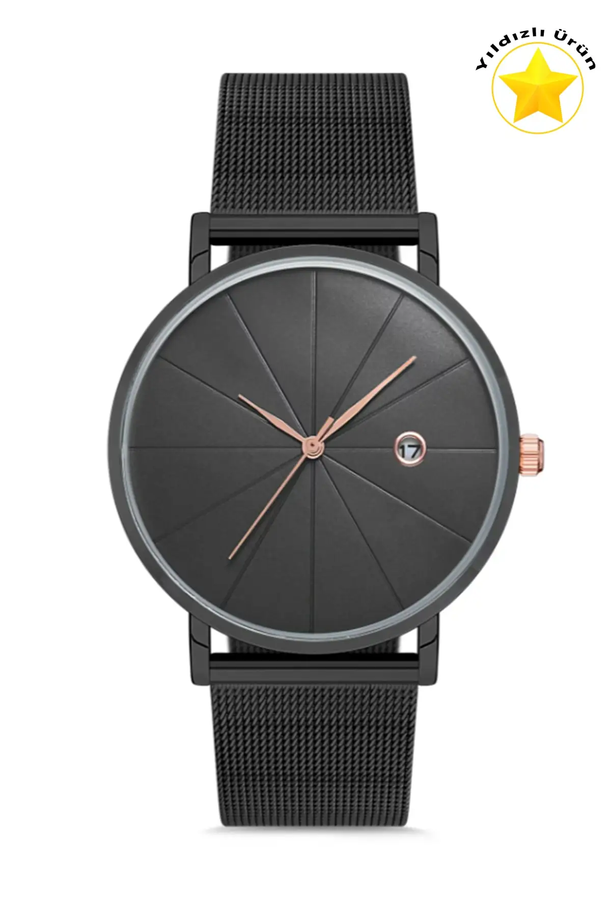 Unisex Wristwatch APL12C195H02