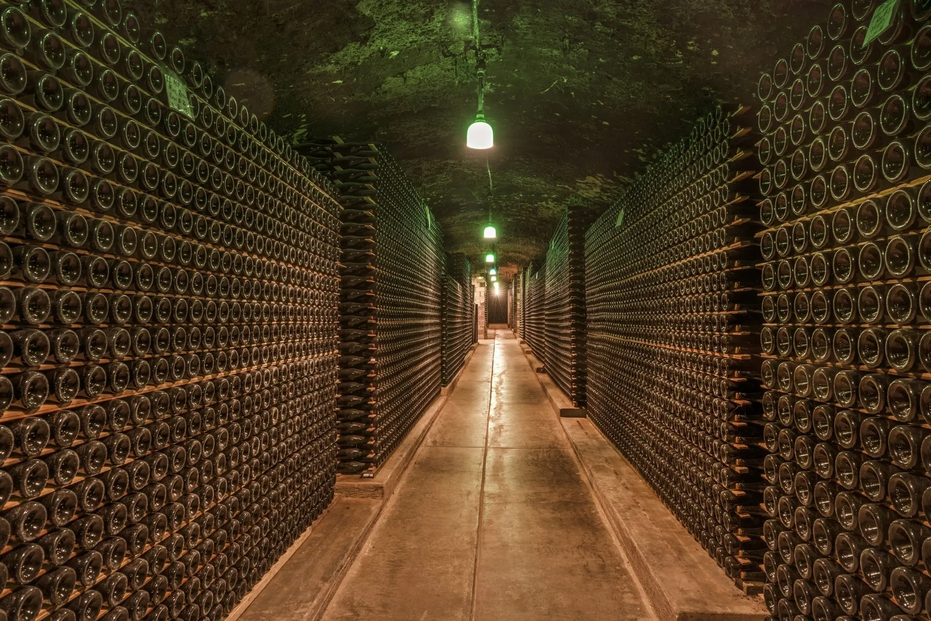 Wine Cellar Hallway Light backdrop High quality Computer print party photography studio background