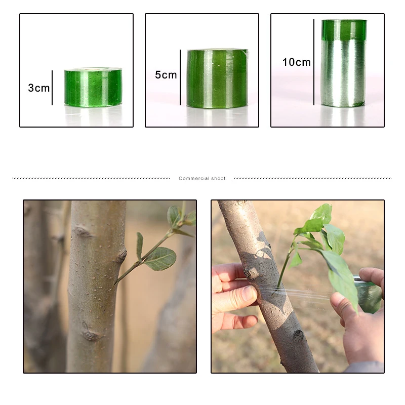 Bande de greffage 3cm/5cm/6cm/8cm/10cm, bande de jardinage extensible pour pépinière, outil de greffage pour arbres fruitiers