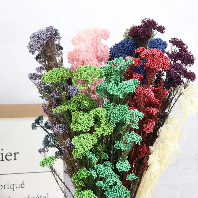 50g Eternal Dry Rice Flower Millet Flowers Heads DIY Home Wedding Party Decor Natural Centerpieces Decoration